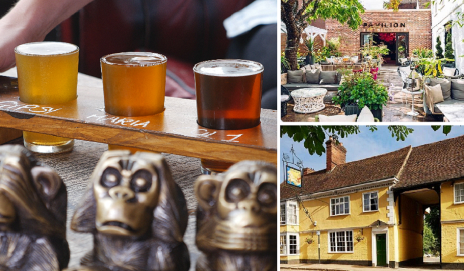 Beers in the Three Wise Monkeys, Pavilion and the Sun Inn